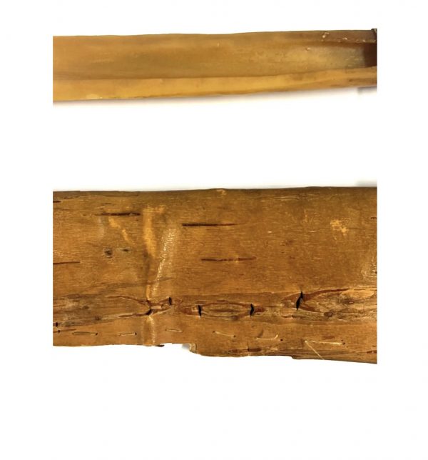 Original Native American Indian Animal Bone Knife; with Rare Birch Bark Scabbard - Image 3