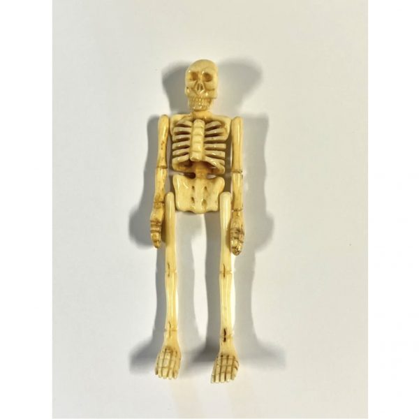 Antique Mori Coffin & Matching Skeleton With Movable Parts; Bakelite or Catalin - Image 4