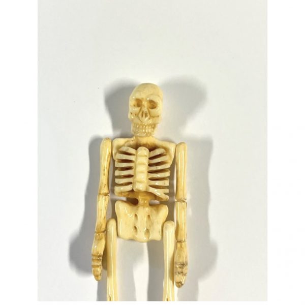 Antique Mori Coffin & Matching Skeleton With Movable Parts; Bakelite or Catalin - Image 6