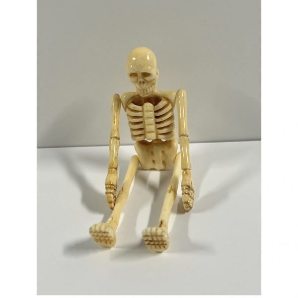 Antique Mori Coffin & Matching Skeleton With Movable Parts; Bakelite or Catalin - Image 10