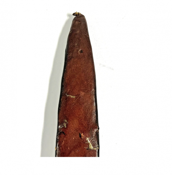 Antique Native American Indian Knife & Leather Sheath; Late 1800's to Early 1900 - Image 5